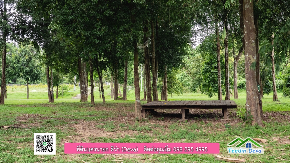 ที่ดินนครนายก ติดแม่น้ำ 14 ไร่ พื้นที่ติดแม่น้ำ 400 เมตร ชมลำธารสวยๆ บรรยากาศสบายๆ ต.สาริกา อ.เมือง จ.นครนายก