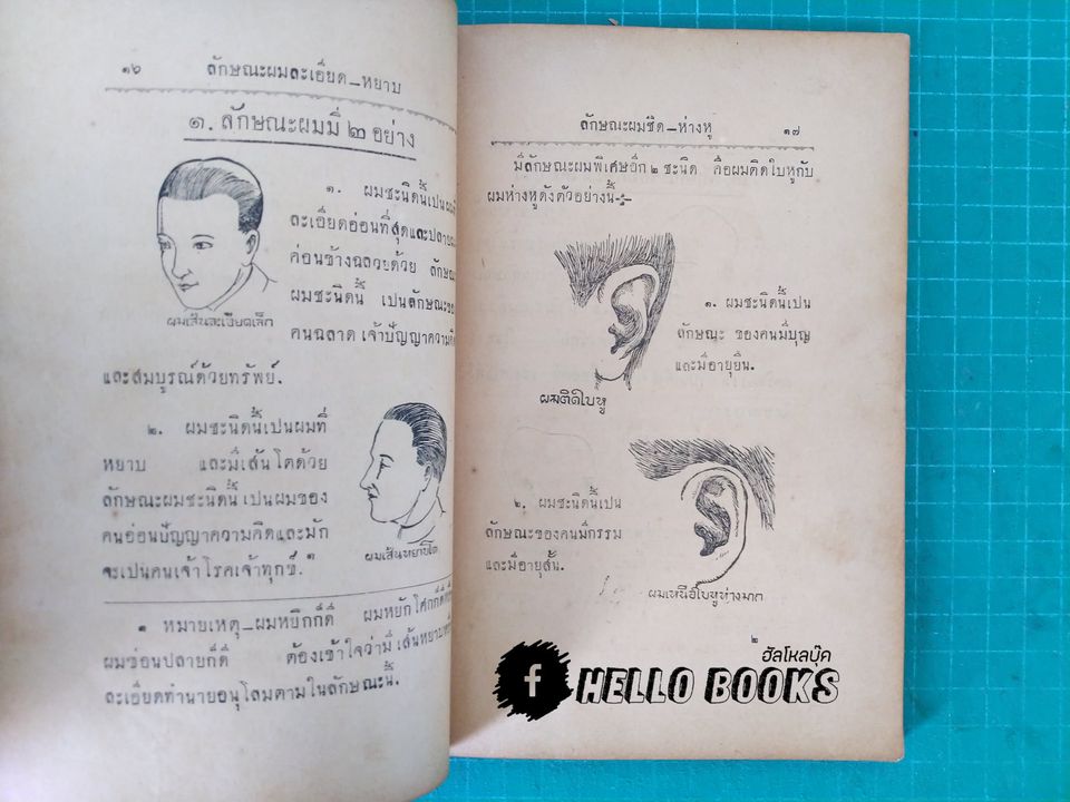 ลักษณะบุคคลตามกฏธรรมชาติ