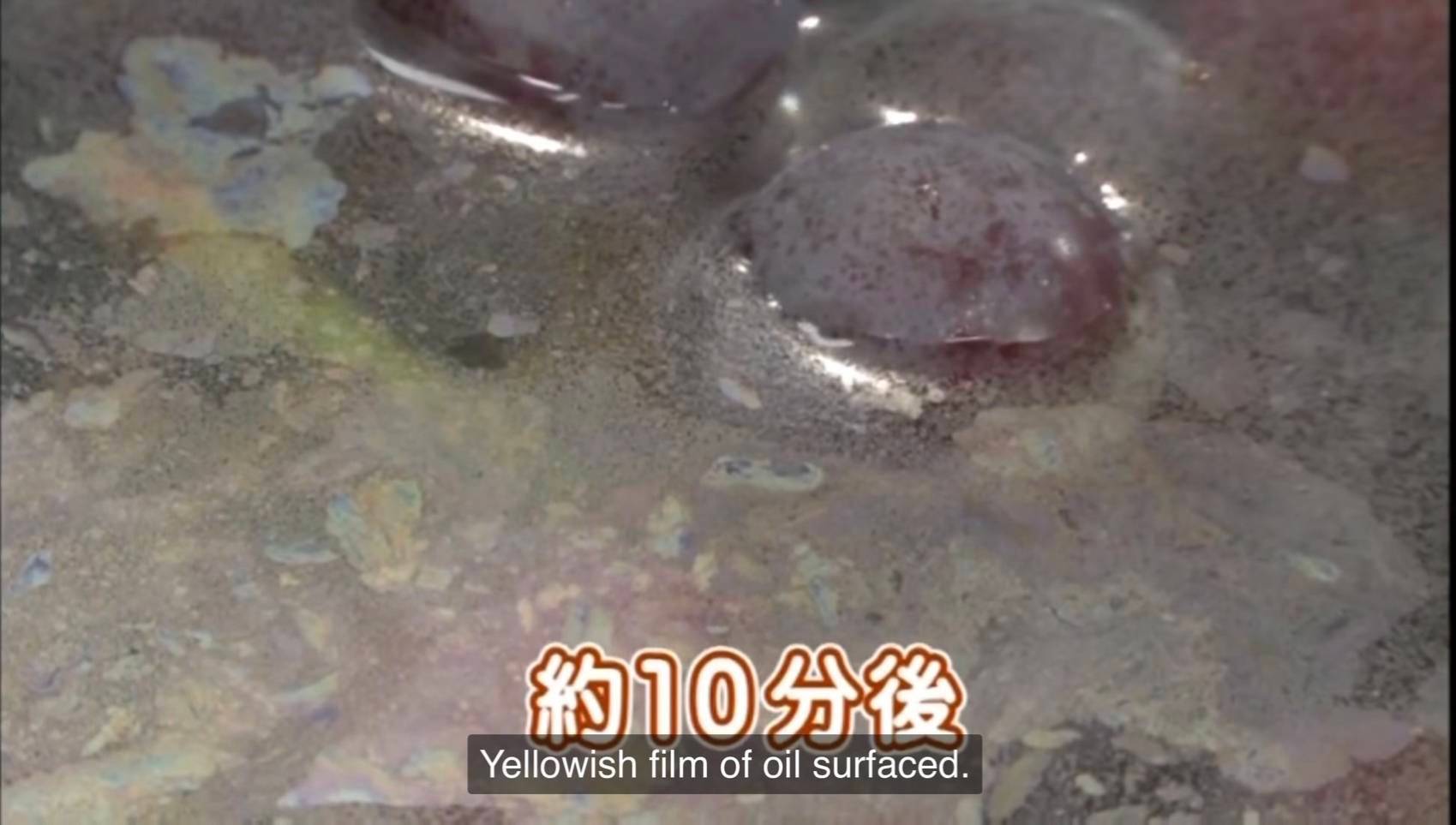 ผงล้างผักจากหอย HOTATE shell powder ขนาด 90 กรัม