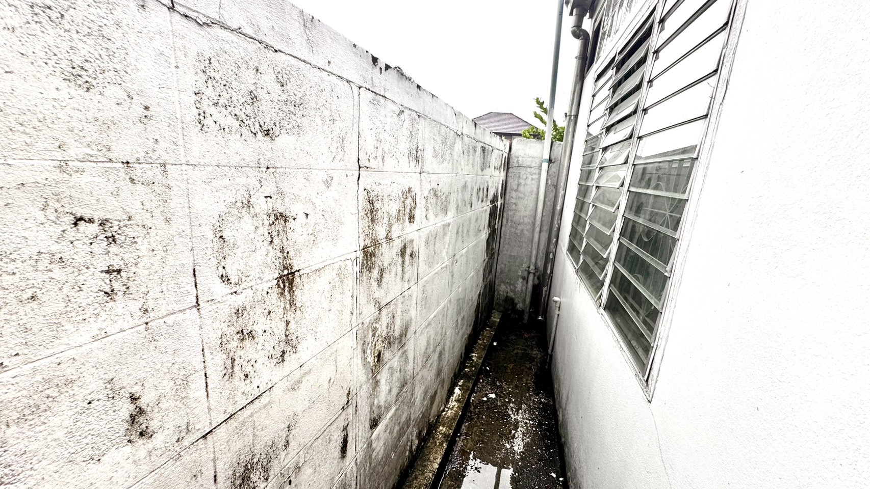 ขายอาคารพาณิชย์ 2.5 ชั้น หมู่บ้านบัวทองธานีพาร์ค บางบัวทอง 2ห้องนอน 2 ห้องน้ำ 20 ตารางวา นนทบุรีทำเลบางบัวทอง ราคา : 1,700,000 บาท