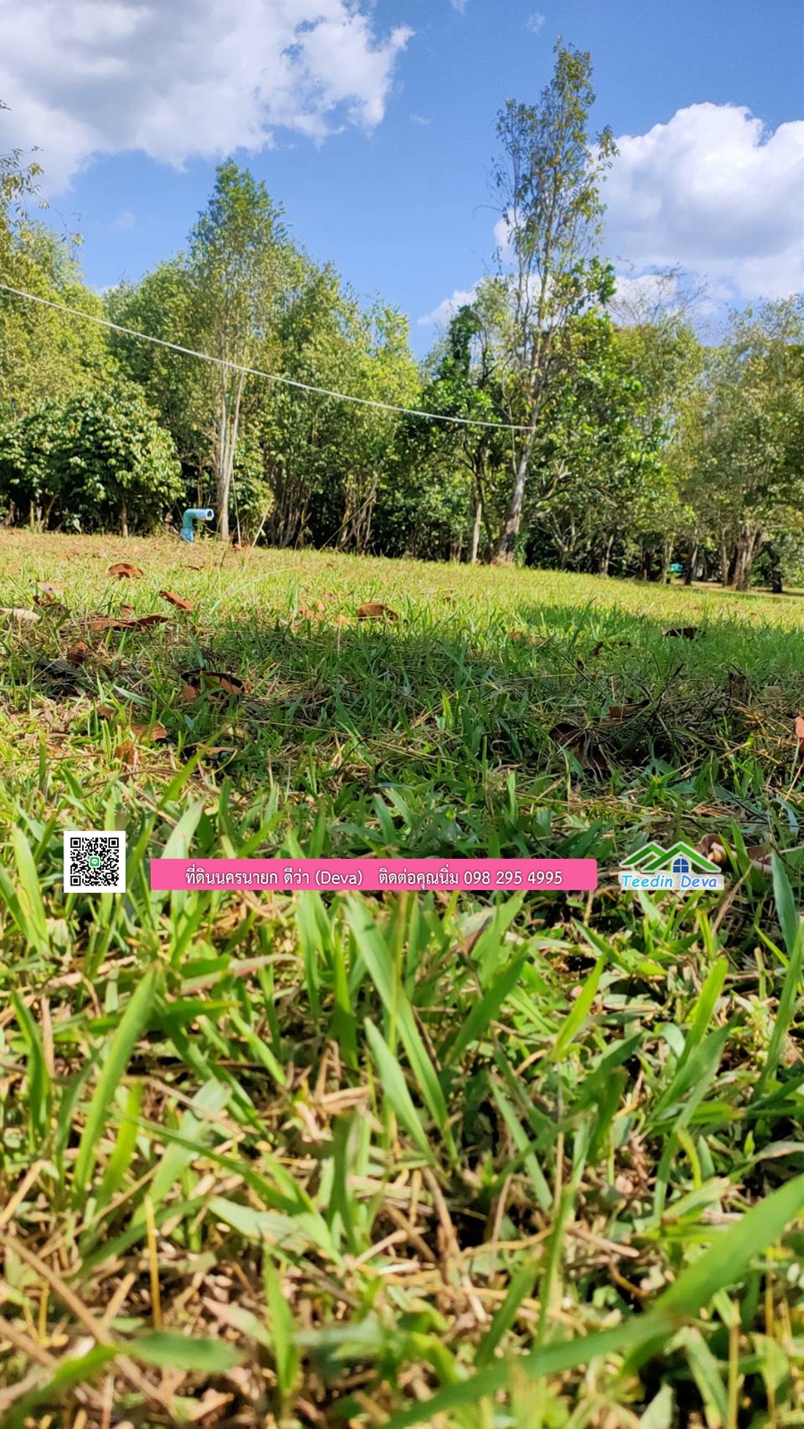 บ้านสวนผลไม้ ใกล้กับแหล่งท่องเที่ยว เจ้าของปลูกมะยงชิด ส้มโอ ต้นกฤษณา 20 ไร่ อยู่ติดถนนสายท่องเที่ยว สาริกา-นางรอง ต.สาริกา อ.เมือง จ.นครนายก