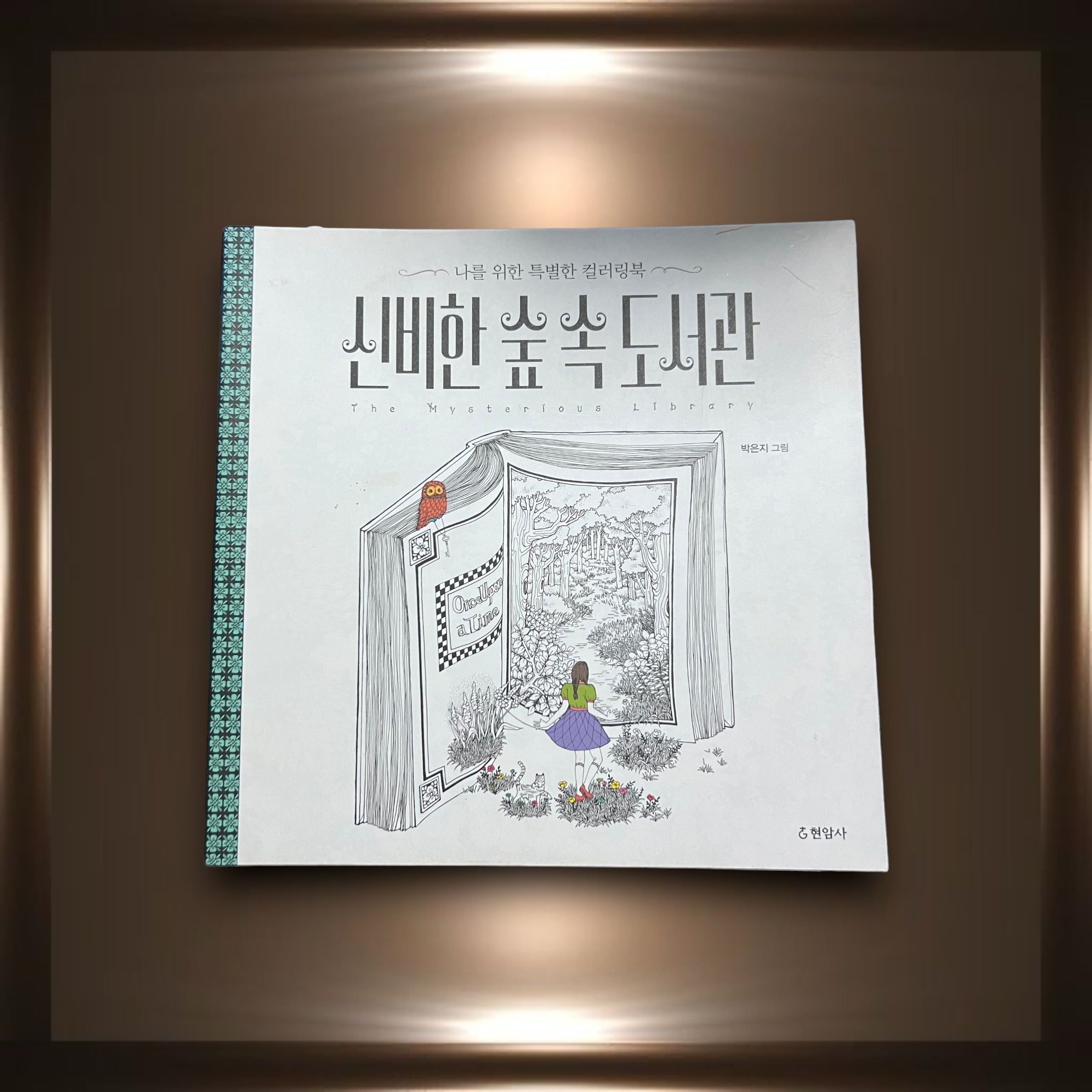 หนังสือมือสองระบายสี