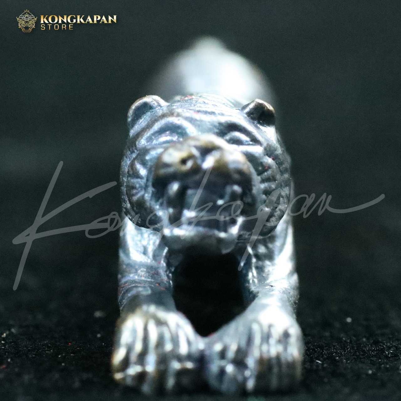 เสือสมิง เนื้อทองแดงรมดำ รุ่นปาฏิหาริย์ 5 หลวงพ่อคง วัดวังสรรพรส จ.จันทบุรี ปี 55