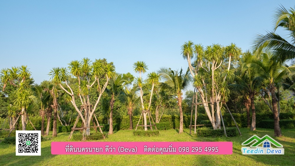 ขายบ้าน ทำเลธุรกิจ สามารถประยุกต์เป็นร้านอาหาร และคาเฟ่