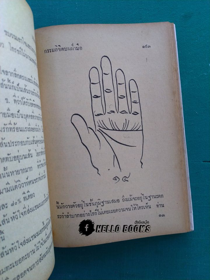 กรรมลิขิตบนฝ่ามือ