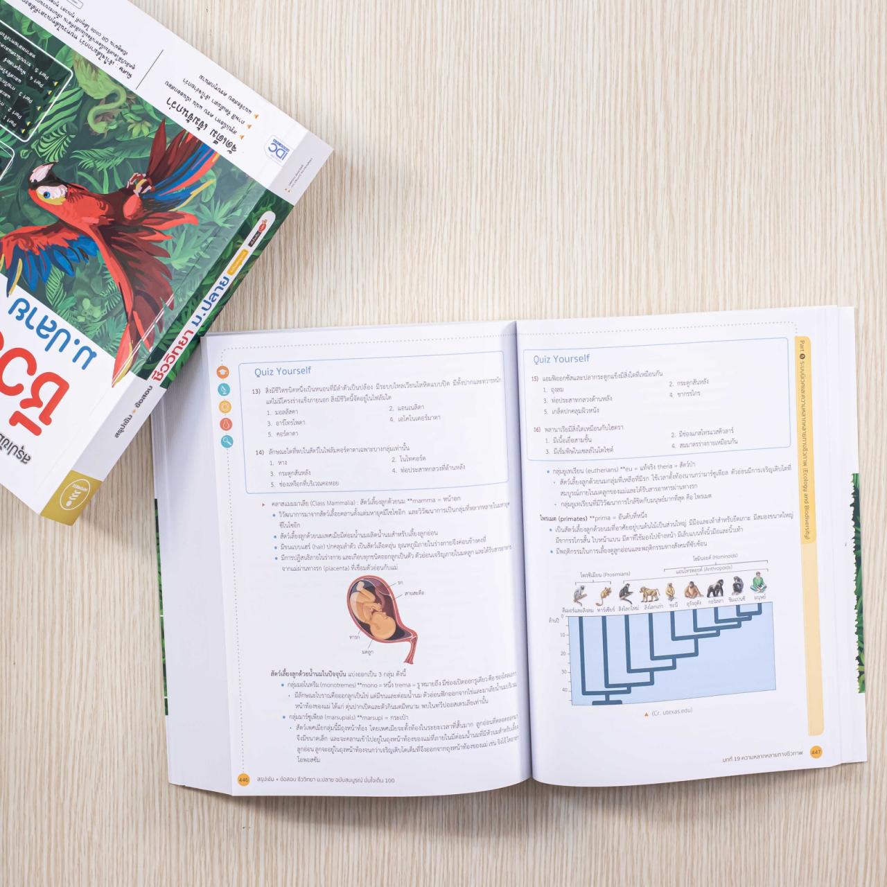 Infopress (อินโฟเพรส) สรุปเข้ม + ข้อสอบ ชีววิทยา ม.ปลาย ฉบับสมบูรณ์ มั่นใจเต็ม 100 - 71502