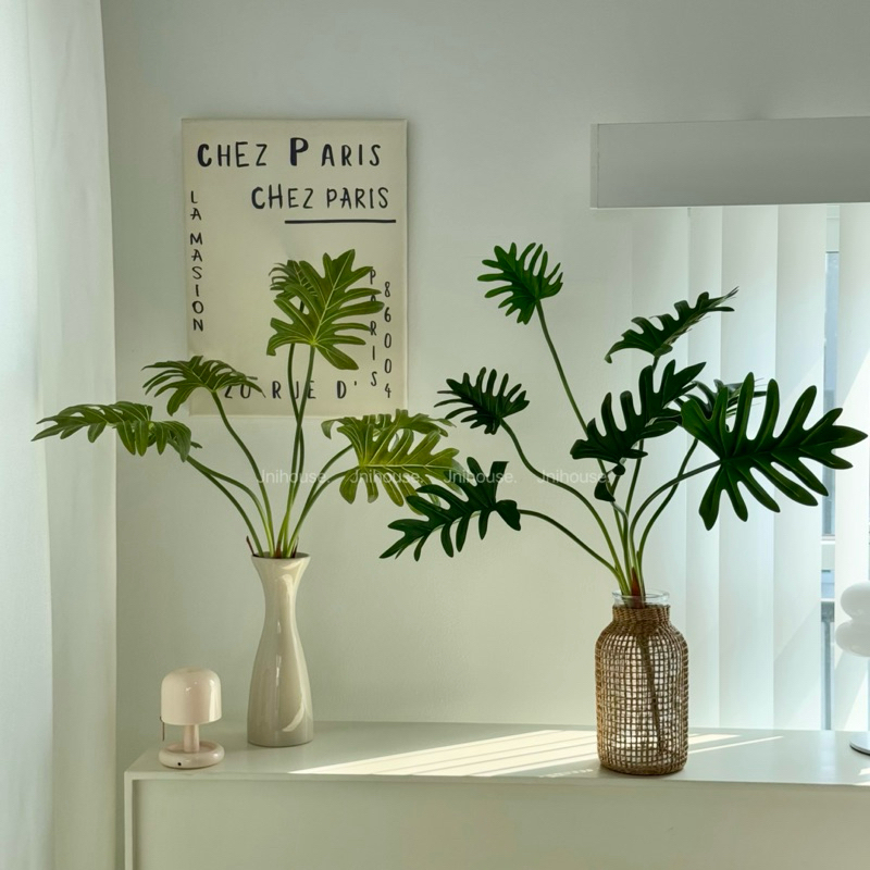 [พร้อมส่ง] Jnihouse : กิ่งต้นซานาดู (Xanadu Plant)(Tree)