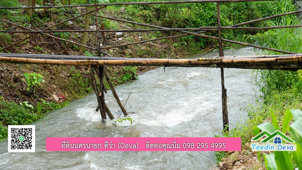 ที่ดินนครนายก สวนผลไม้ขนาดเล็ก 155 ตร.ว. ด้านหลังติดลำธาร