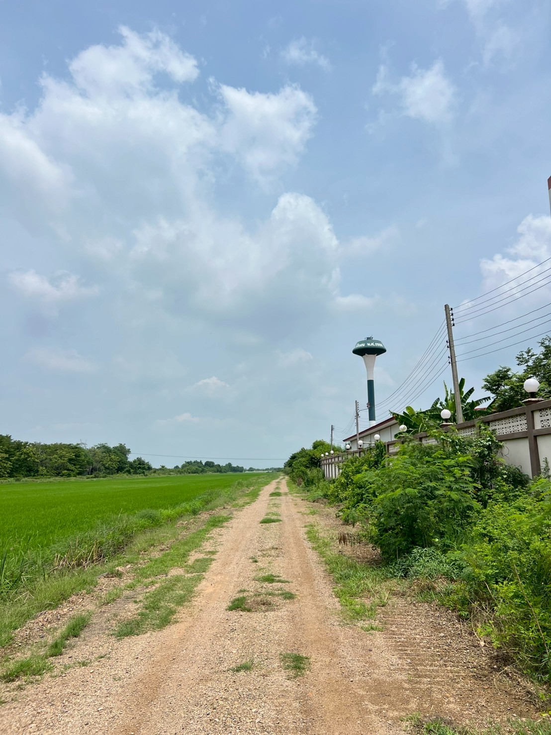 "ที่ดินในฝัน ใกล้เมือง 🌿 1 ไร่ – คลอง 8 หนองเสือ จ.ปทุมธานี"