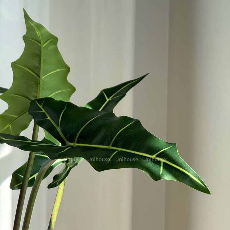 [พร้อมส่ง] Jnihouse : ต้นไม้ประดิษฐ์อโลคาเซีย หูช้าง (Artificial Alocasia Sarian Potted)(Tree)