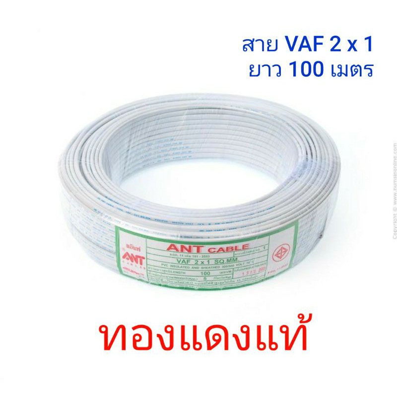 สายไฟ VAF 2*1 ยาว 100 เมตร ANT CABLE