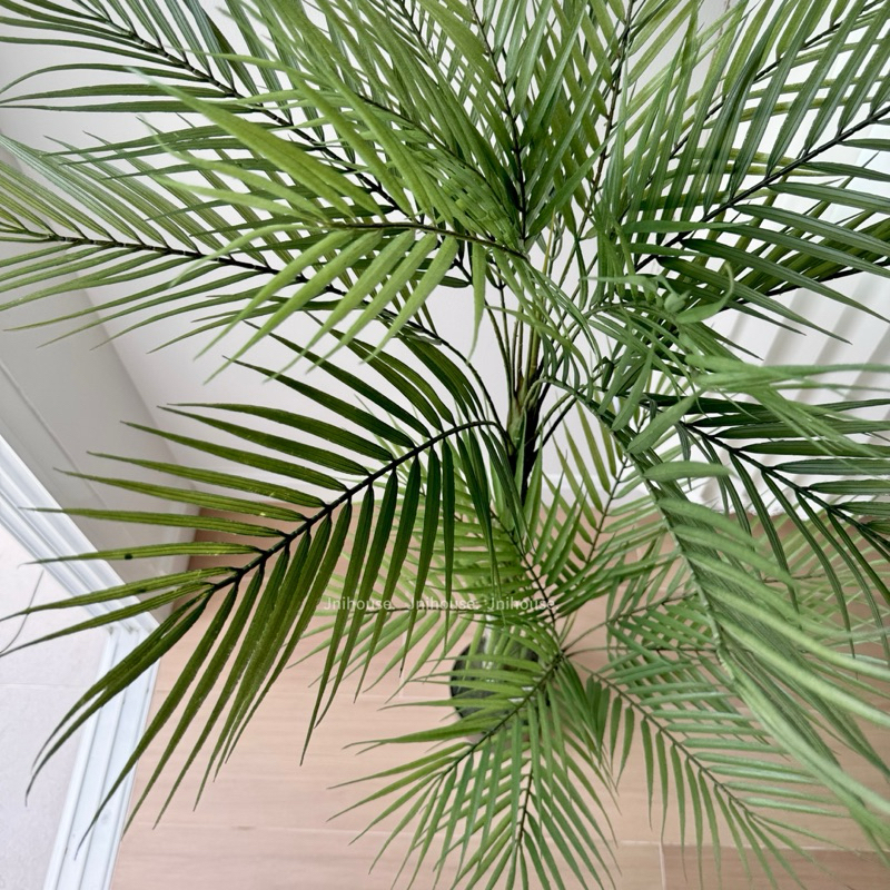 [พร้อมส่ง] Jnihouse : ต้นปาล์มประดิษฐ์สูง 120 cm (Tree)