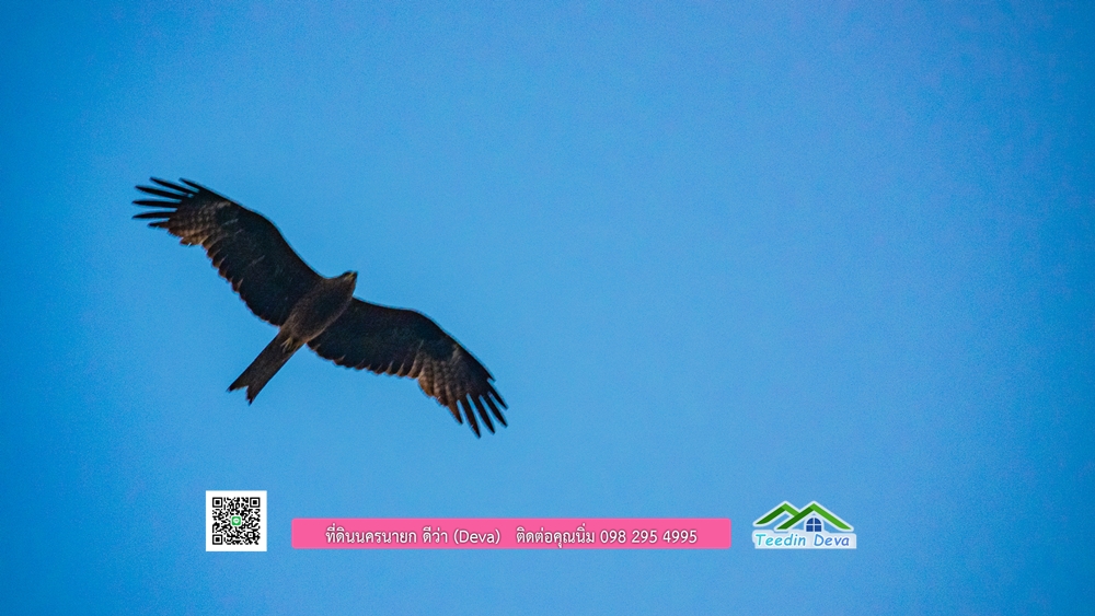 🌿 ที่ดินสวยๆ ขนาด 2 ไร่ พร้อมน้ำไฟ ดินดี น้ำดี อากาศดี มีเพื่อนบ้าน ณ ต.ปากพลี อ.ปากพลี จ.นครนายก