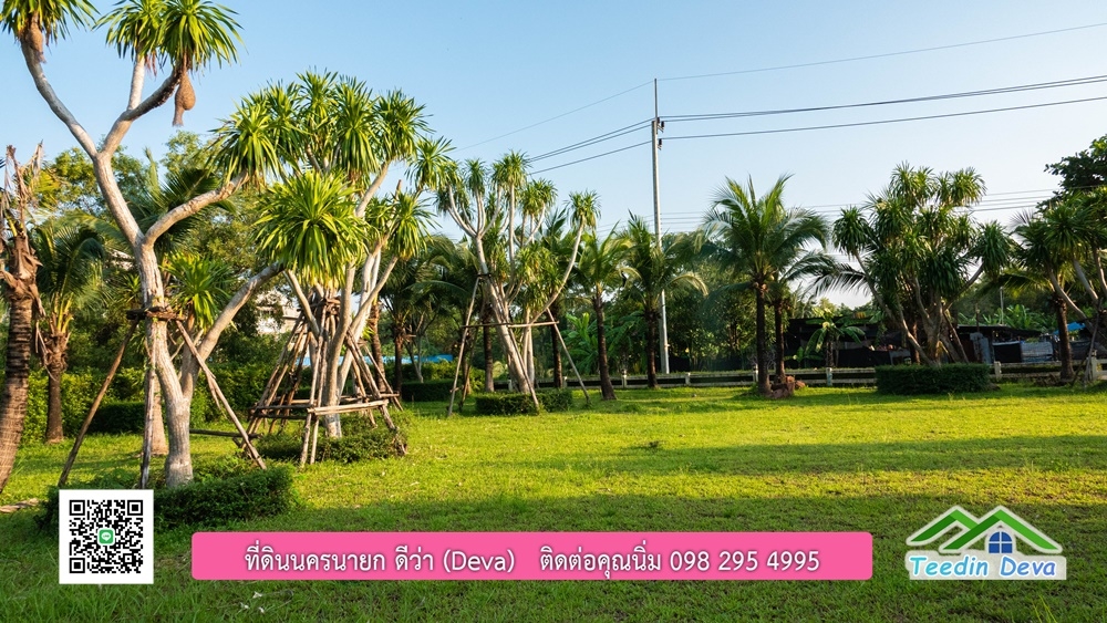 ขายบ้าน ทำเลธุรกิจ สามารถประยุกต์เป็นร้านอาหาร และคาเฟ่