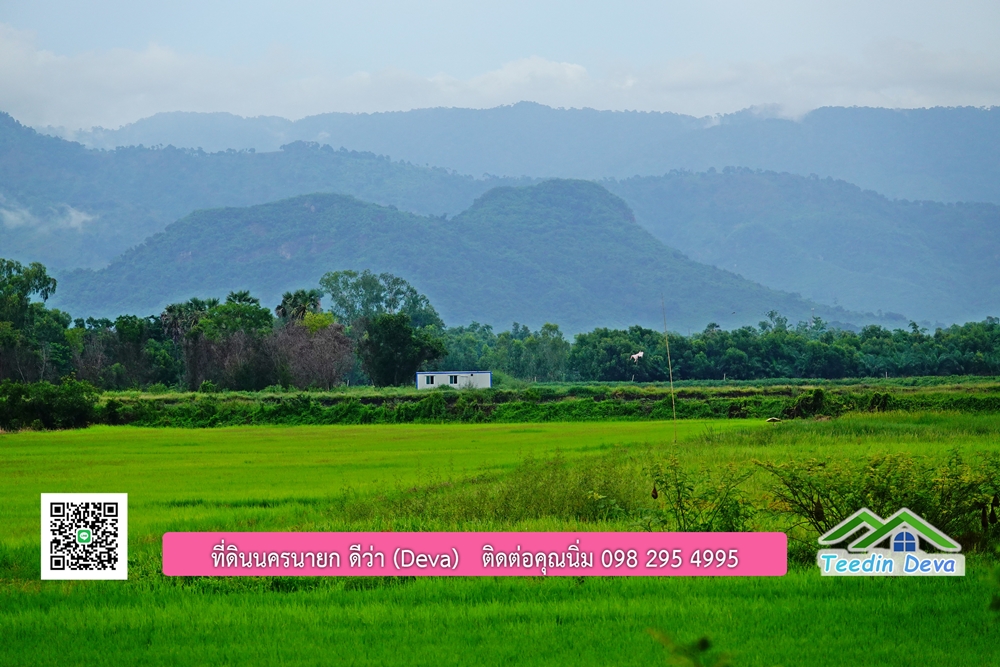 ที่ดินนครนายก โครงการ Mountain 3 อ.บ้านนา จ.นครนายก
