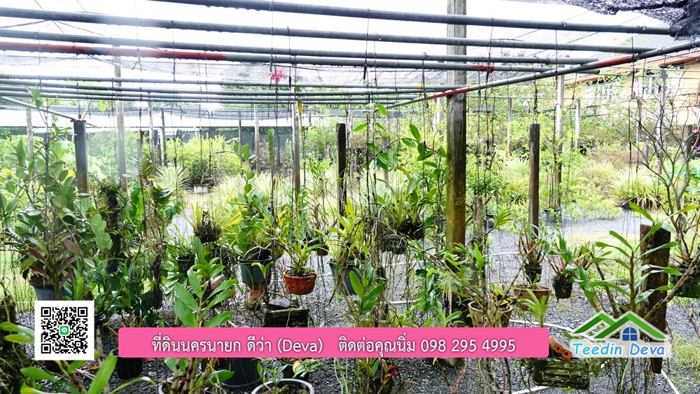 บ้านไทยประยุกต์ พร้อมสวนผลไม้ พืชผักสวนครัว ใกล้กับตัวเมืองนครนายก