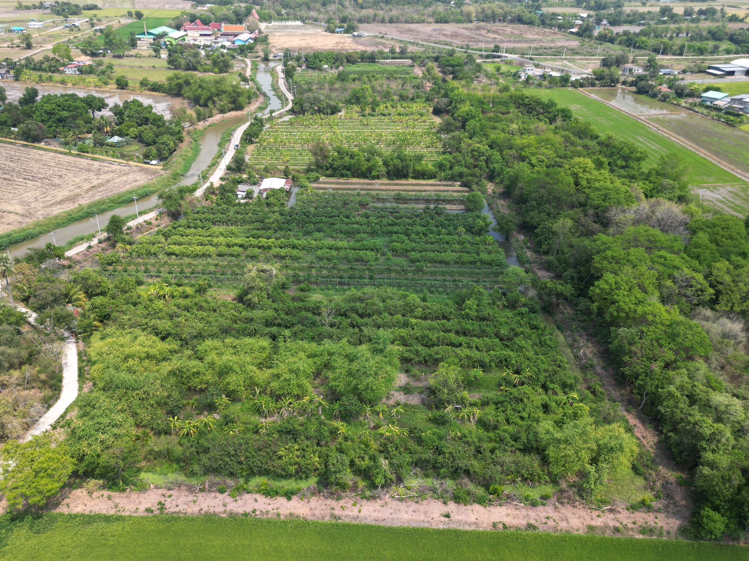 🔥 ที่ดินสวย ทำเลดี ที่ดินเชิงเกษตร ต.หนองจระเข้ อ.หนองแค จ.สระบุรี
