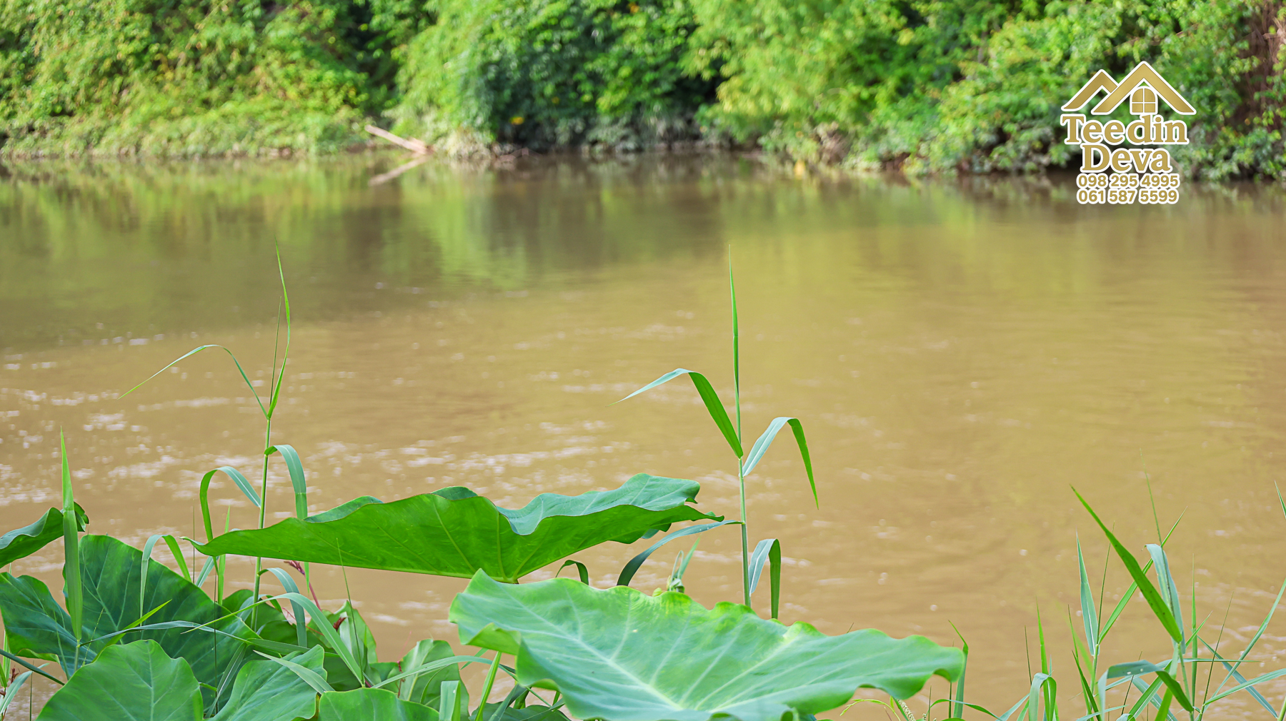 ที่ดินนครนายก ติดแม่น้ำ เนื้อที่ 4 ไร่ 2 งาน 64 ตรว. ต.สาริกา อ.เมือง จ.นครนายก