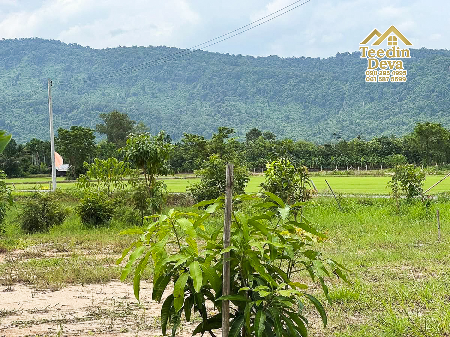 🏞️ ที่ดินวิวภูเขา จุดเริ่มต้นของบ้านในฝัน เนื้อที่ 300 ตารางวา ต.เขาพระ อ.เมือง จ.นครนายก