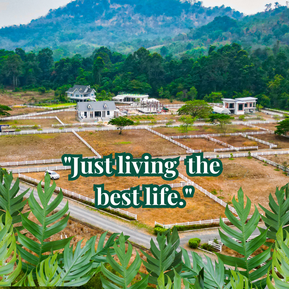 ที่ดินนครนายก วิวเขาใหญ่ เนื้อที 121 ตร.ว. บรรยากาศดี ⭐ เหมือนอยู่ต่างประเทศ เหมาะกับสร้างบ้านตากอากาศ ต.เขาพระ อ.เมือง จ.นครนายก