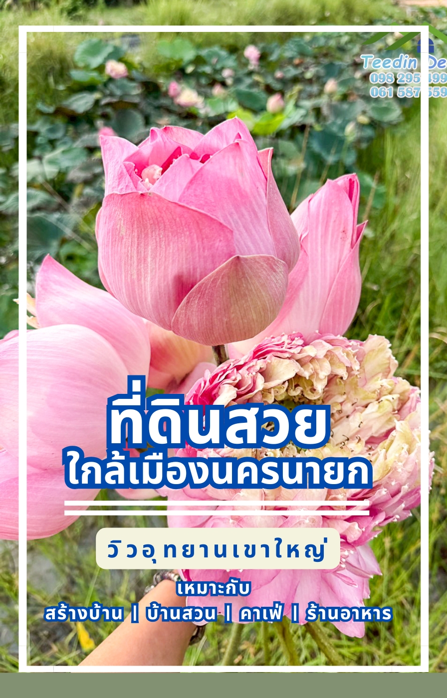 ที่ดินนครนายก วิวภูเขา บรรยากาศสุดชิลล์ เหมาะสำหรับทำ บ้านสวน อ.เมือง จ.นครนายก