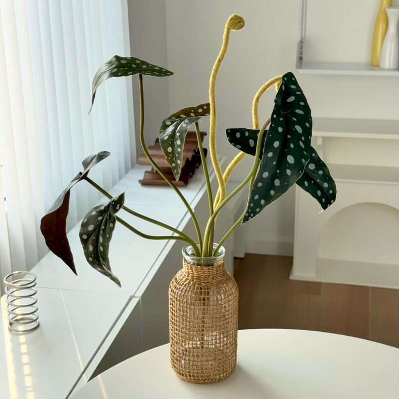 [พร้อมส่ง] Jnihouse : กิ่งบีโกเนียลายจุด (Artificial Begonia Maculata Tree)