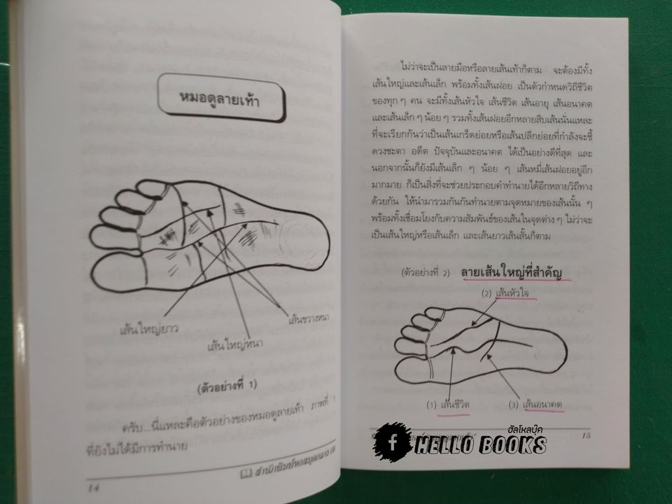 ตำราหมอดูลายเท้า