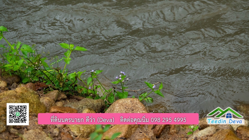 ที่ดินนครนายก สวนผลไม้ขนาดเล็ก 155 ตร.ว. ด้านหลังติดลำธาร