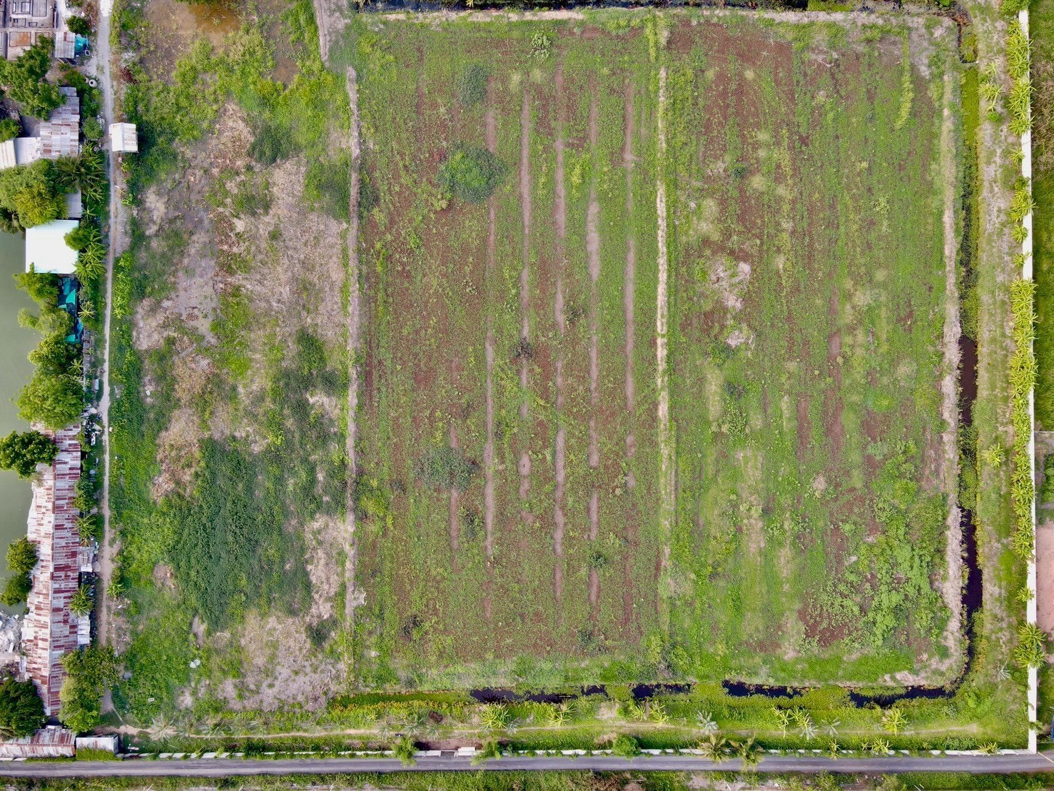 "ที่ดินในฝัน ใกล้กรุงเทพ 🌿 2 ไร่ – คลอง 9 อ.หนองเสือ จ.ปทุมธานี"