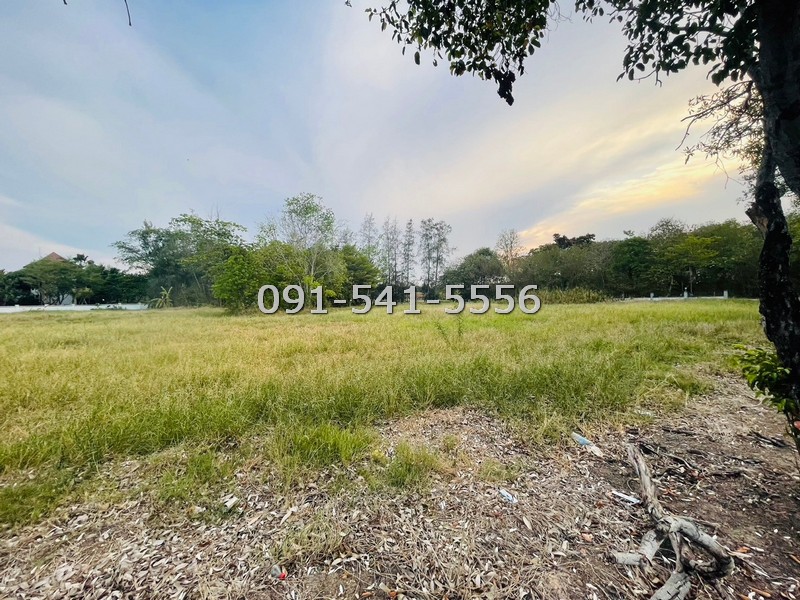 ขายที่ดิน 2 แปลง รูปสีเหลี่ยมคางหมู สนามกอล์ฟวินเซอร์ปาร์ค รวม 2 ไร่ ริมถนนเอกใกล้คลับเฮ้าส์