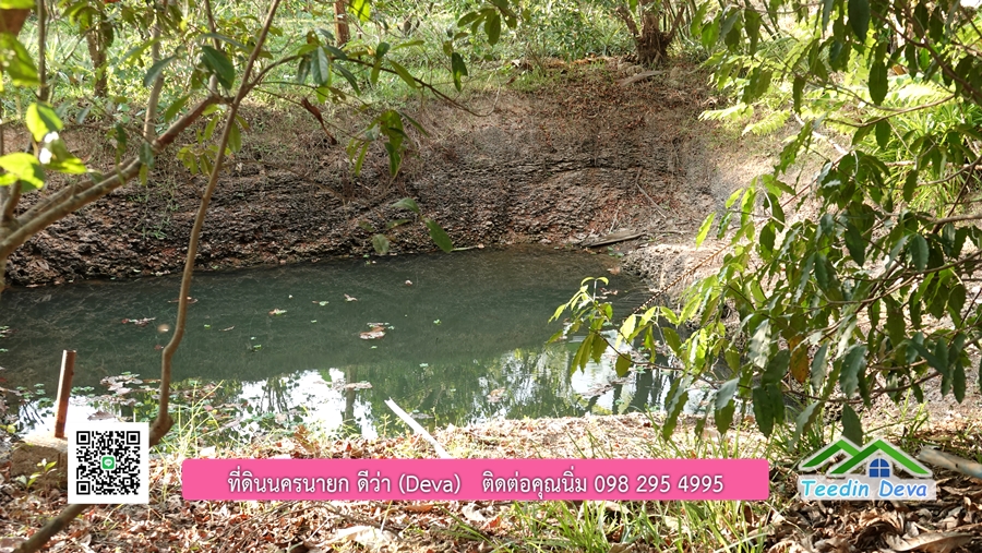 บ้านสวนผลไม้ สามารถเก็บผลผลิตได้เลย พื้นที่ 2 ไร่ 1 งาน อ.ปากพลี จ.นครนายก