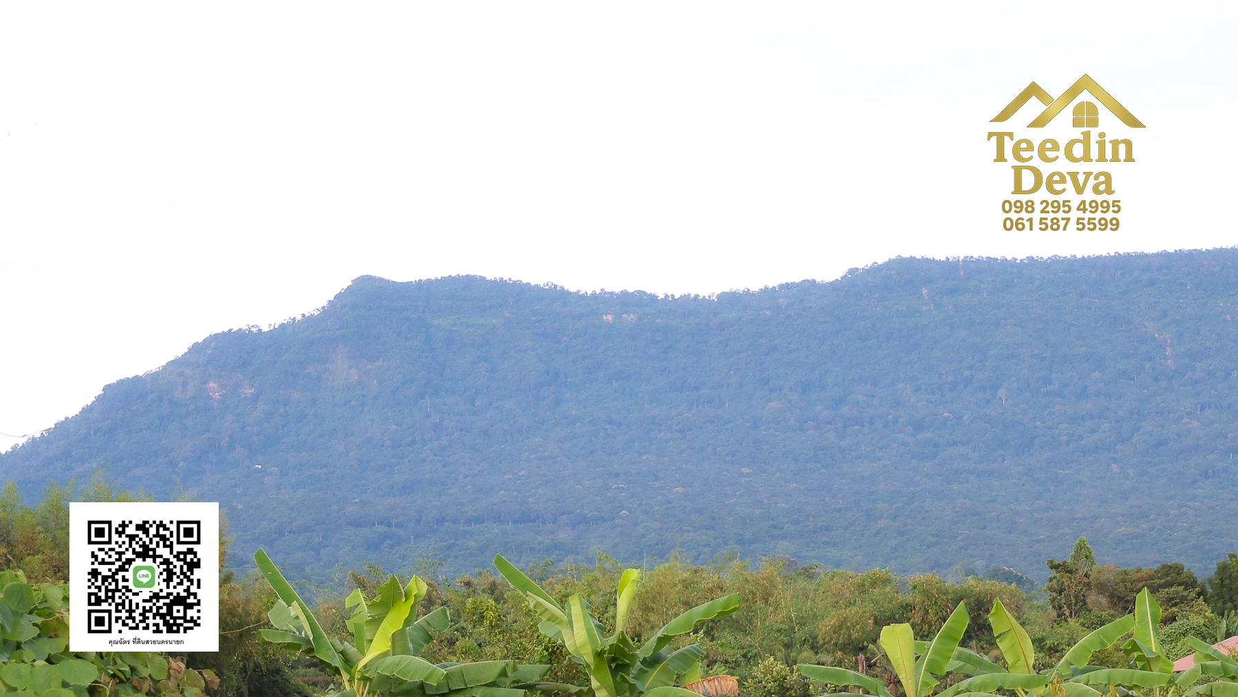 🍃 มุมสงบใกล้เขาใหญ่ ที่ธรรมชาติอยู่ใกล้เพียงเอื้อมมือ ที่ดิน 100 ตรว. นาหินลาด อ.ปากพลี จ.นครนายก