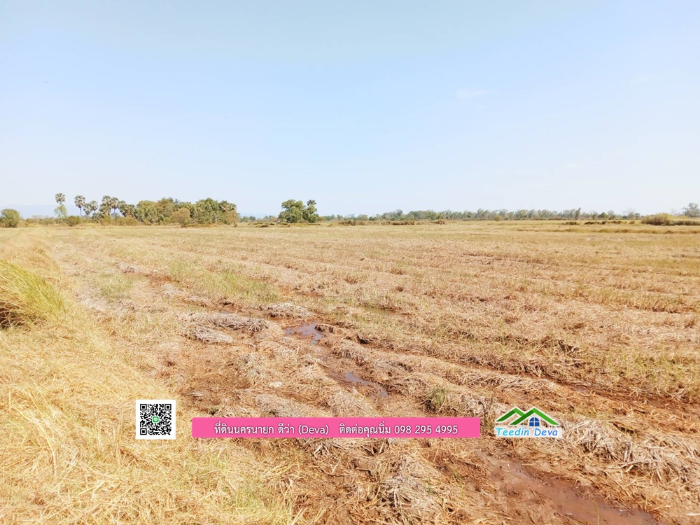 ที่ดินแปลงสวย ราคาถูก เนื้อที่ 33-1-67 ไร่ ราคาไร่ละ 250,000 บาท การเดินทางสะดวก อยู่ใกล้จุดชมนกเหยี่ยวหูดำ อ.ปากพลี จ.นครนายก