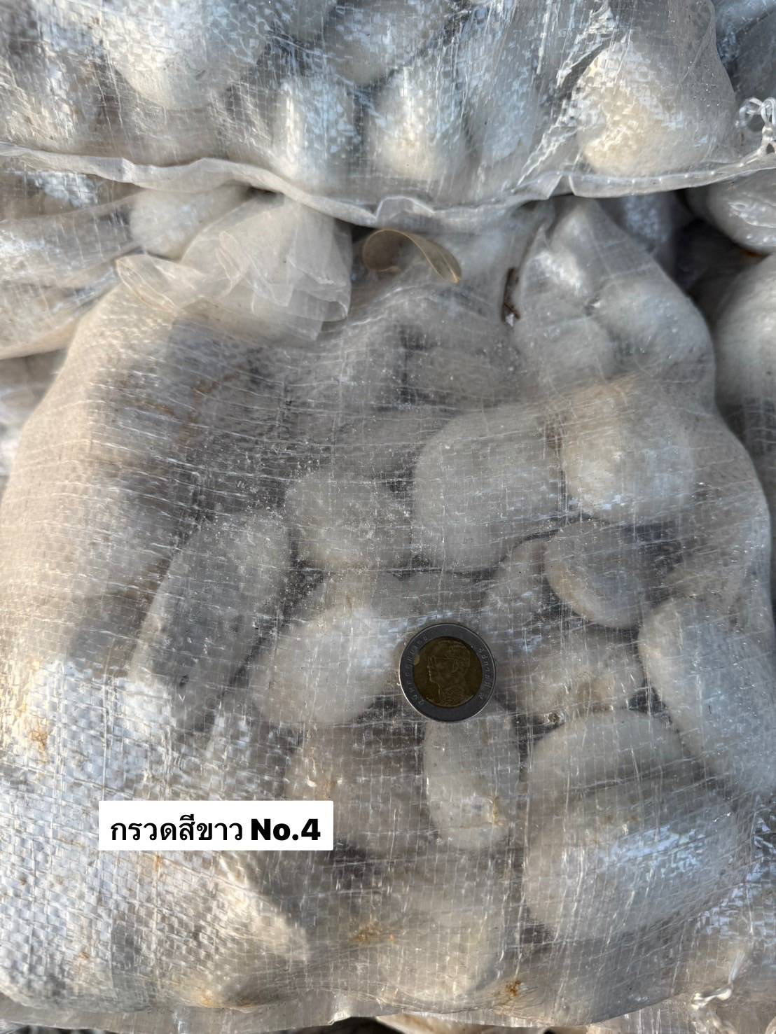 หินกรวดสีขาว No.04