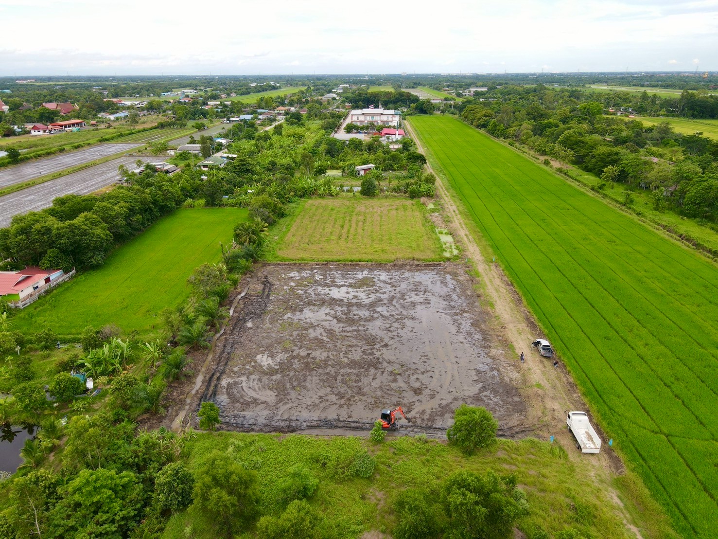 "ที่ดินในฝัน ใกล้เมือง 🌿 1 ไร่ – คลอง 8 หนองเสือ จ.ปทุมธานี"
