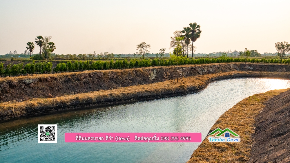 🌿 ที่ดินสวยๆ ขนาด 2 ไร่ พร้อมน้ำไฟ ดินดี น้ำดี อากาศดี มีเพื่อนบ้าน ณ ต.ปากพลี อ.ปากพลี จ.นครนายก