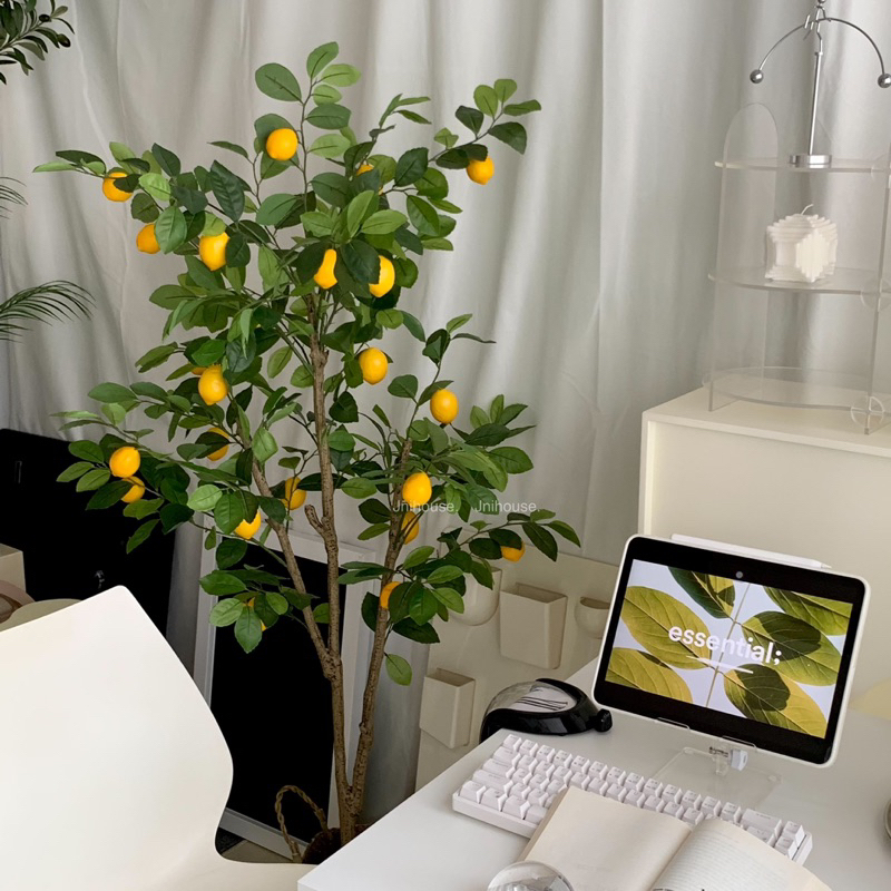 [พร้อมส่ง] Jnihouse : ต้นเลมอนประดิษฐ์ แถมตะกร้าสาน (Artificial Lemon Tree)