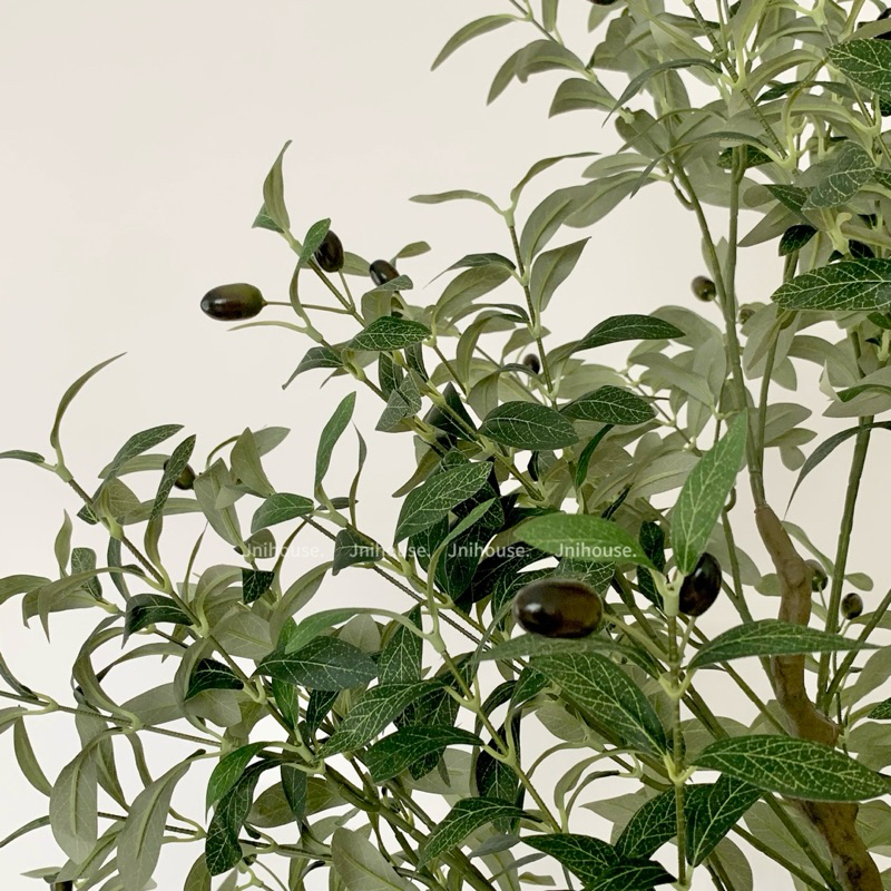 [พร้อมส่ง] Jnihouse : ต้นมะกอกประดิษฐ์สูง 210 cm (Artificial Olive tree)