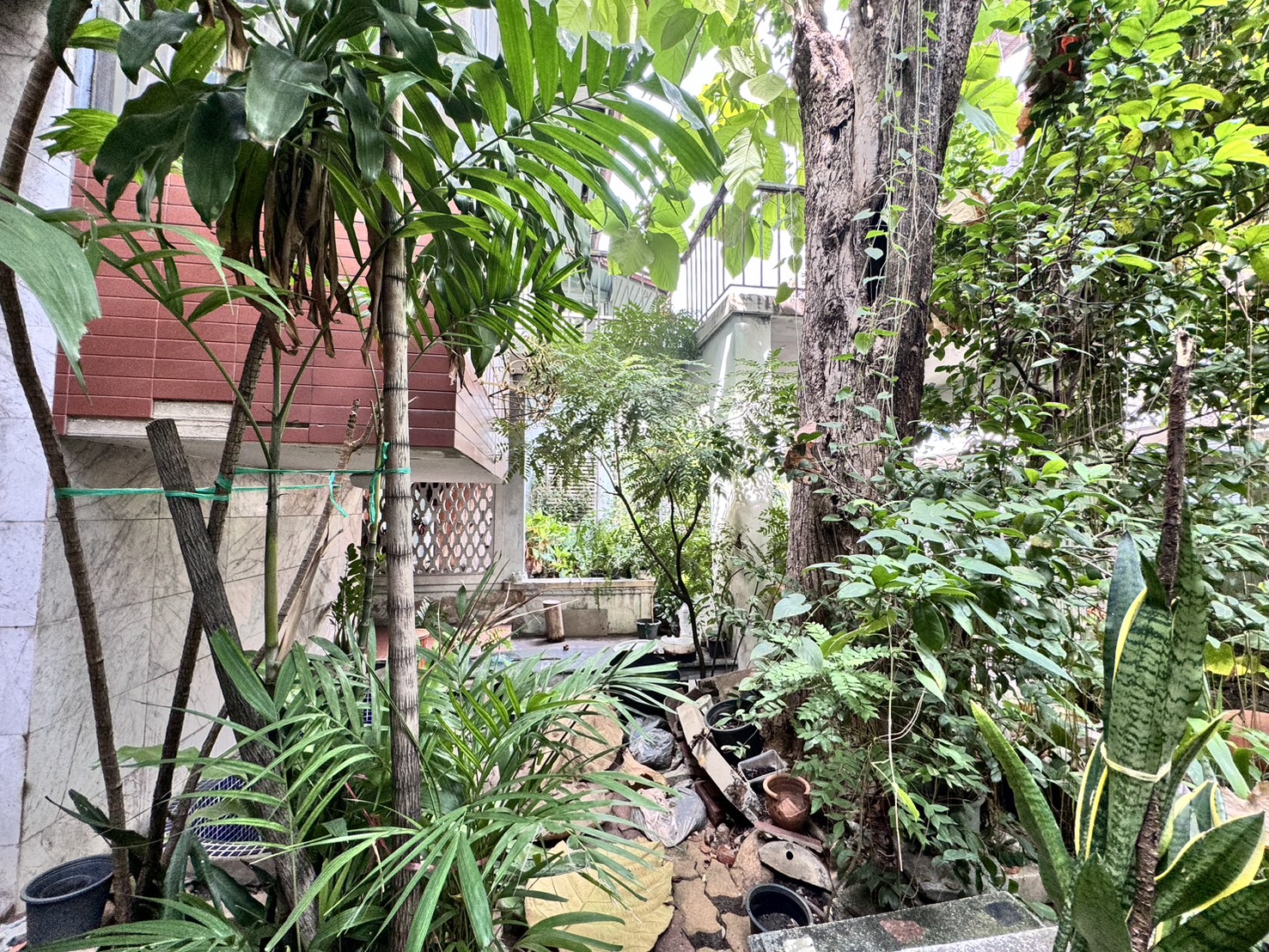 ให้เช่า บ้านเดี่ยว 2 ชั้น ซอยสีลม 14 ขนาด 98 ตารางวา บางรัก ใกล้ BTS สุรศักดิ์ (N.1484)