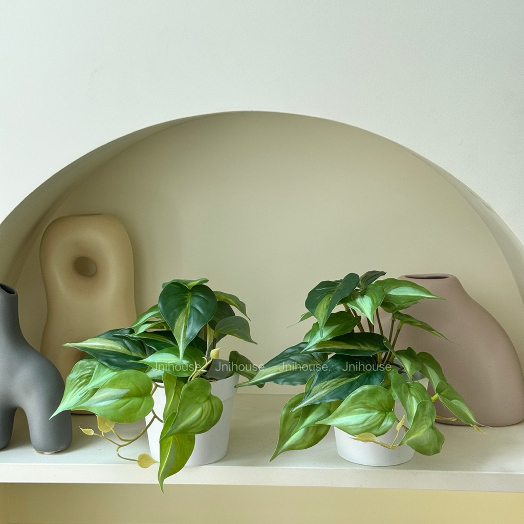 [พร้อมส่ง] Jnihouse : ต้นพลูด่างประดิษฐ์+กระถางพลาสติกขาว