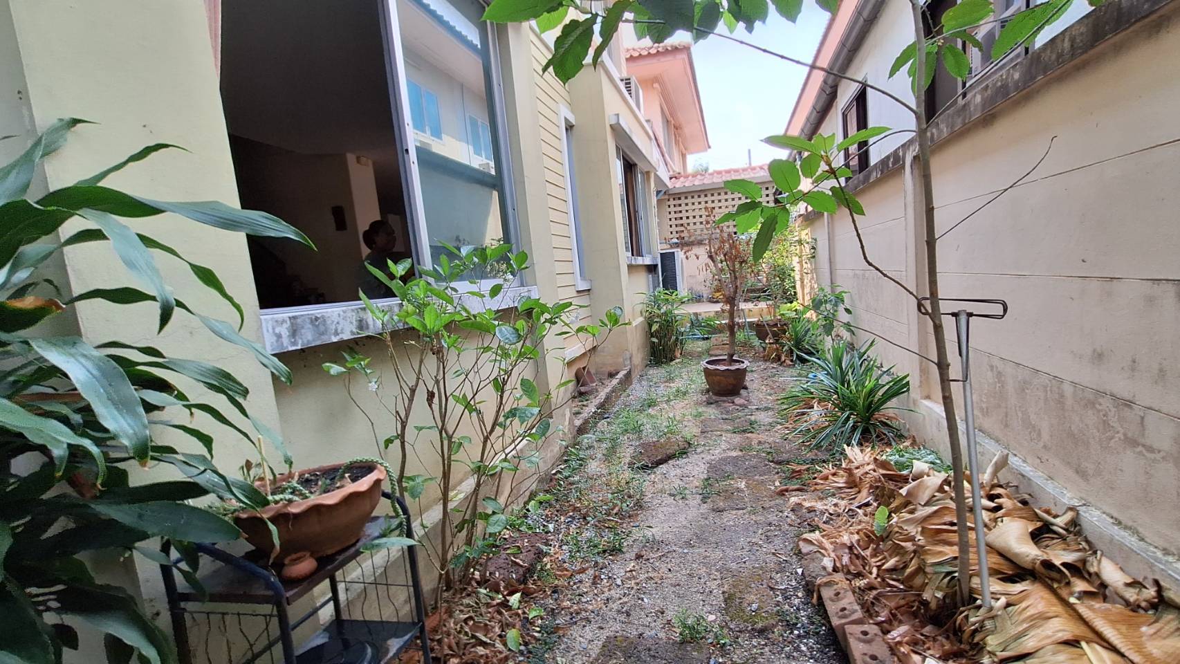 ขาย หมู่บ้านภัทรินทร์ 1 ติดถนนคู้บอน (ติดห้างแม็คแวลู่) (N.316)