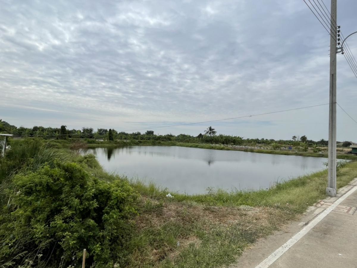 ขายที่ดิน 3 ไร่ ซอยวัดศรีวารีน้อย ลาดกระบัง 54 ที่ดินสี่เหลี่ยมสวย ติดถนนสาธารณะคอนกรีต (N.1657)