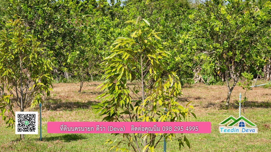 (ติดจอง) ที่ดินนครนายก บ้านสวน พร้อมที่ดิน ขนาด 1 ไร่ 1 งาน วิวภูเขาสวย อยู่ใกล้เขื่อนขุนด่านปราการชล