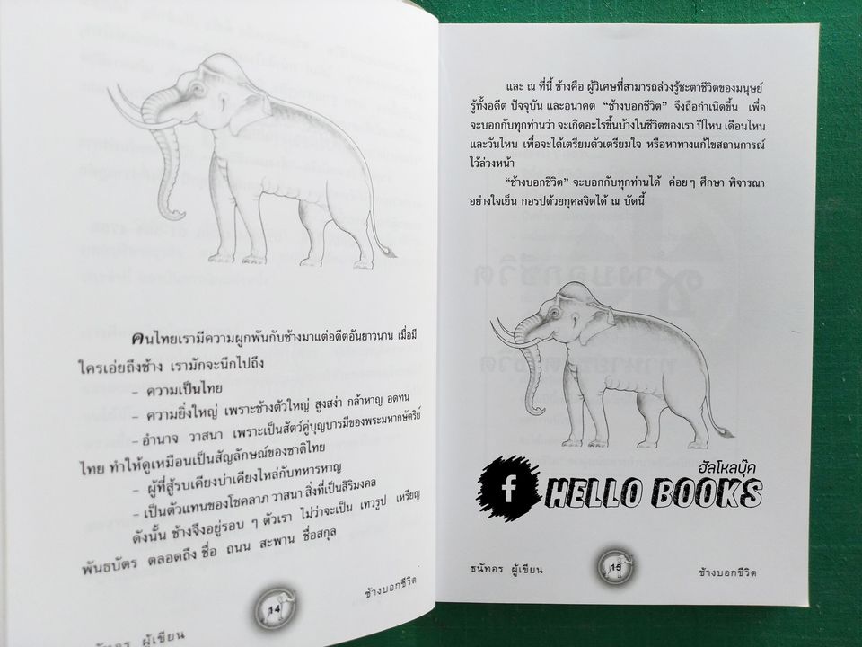 ช้างบอกชีวิต