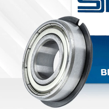 BEARING 6004 ZZNR SS