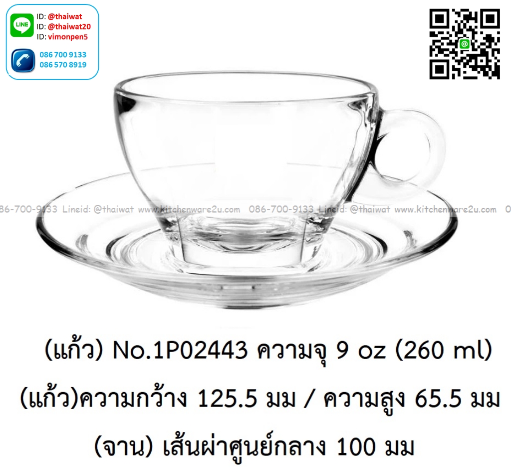 P13451 ชุดแก้วใส่กาแฟพร้อมจาน 9 Oz. 260 มิล (12.5*12.5*6.5 cm) No.1P02443 (ราคาขายส่งต่อ 1 ลัง: 48 ชุด:เฉลี่ย 60 บต่อชุด)
