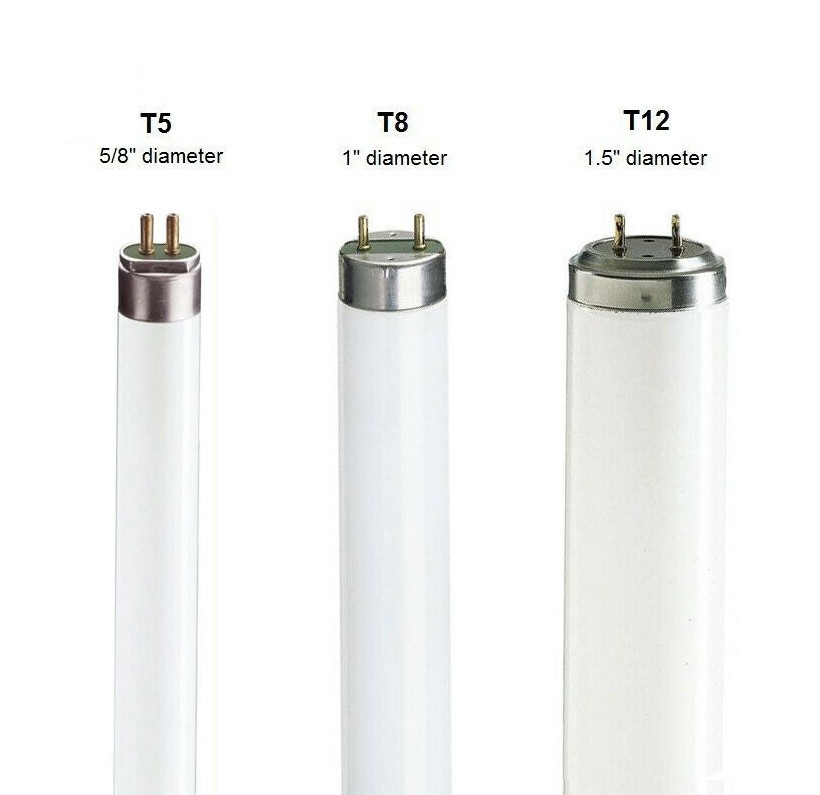 Philips Fluorescent นีออนฟิลิปส์ T8/TLD54 18W/60CM Daylight สั้น (3 หลอด)