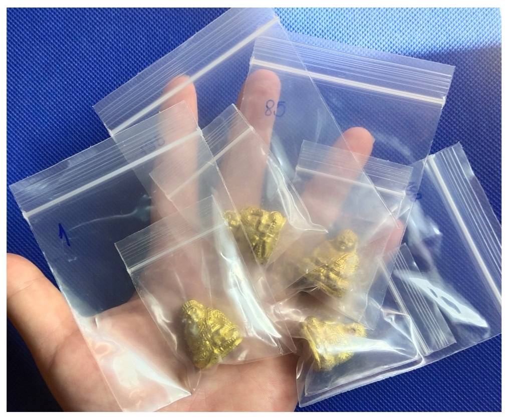 พระสังกัจจายน์ รุ่น๑ (เลข 18 เลข 33 ){ตอกแจก} สำนักสงฆ์ป่าทรงธรรม จ.อุบลราชธานี ปี 2564