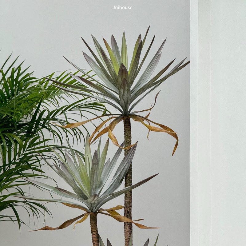 [พร้อมส่ง] Jnihouse : ต้นจันผาประดิษฐ์ สูง 160 cm (Tree)