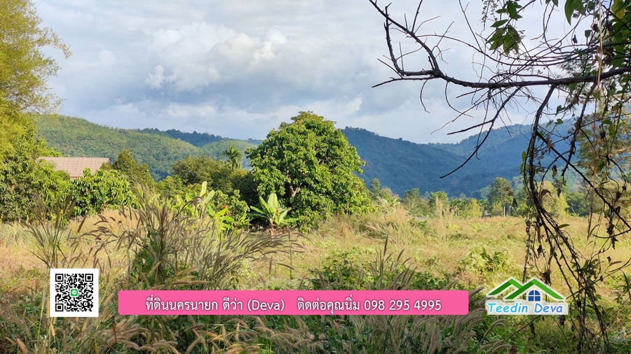 ขายสวนมะยงชิดพันธุ์ทูลเกล้า ขนาด 7 ไร่ ทำเลดีเยี่ยม ติดถนนลาดยาง ต.เขาเพิ่ม อ.บ้านนา จ.นครนายก